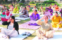 Participants at a yoga camp organised by the Patanjali Yog Samiti in Ludhiana.