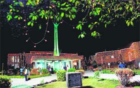 The Sector-18 church decked up on Christmas evening in Chandigarh