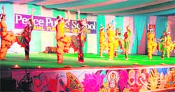 Students perform during the annual function of Peace Public School in Mullanpur Dhaka