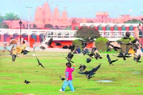 A child plays at Brahmsarovar on a sunny day in Kurukshetra