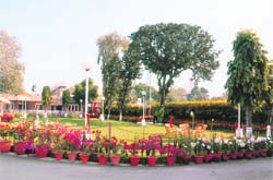 A view of the garden developed by the horticulture wing of HUDA at the Chief Ministers residence in Chandigarh.