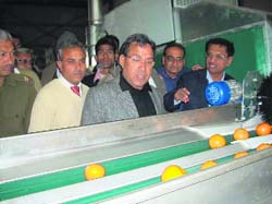 Dr KV Singh, OSD to the Chief Minister, watches the functioning of the kinnow grading plant at Abubshahr. 