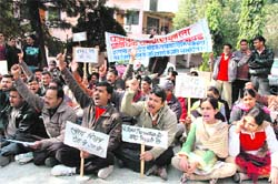 Lab technicians stage a dharna in Dehradun on Friday. 