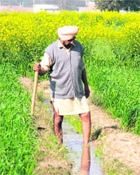 A farmer works in the fields in Machunda village, near Ambala