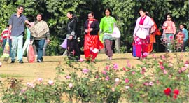 OUT IN THE SUN: After foggy days, families enjoy an afternoon at Rose Garden in Chandigarh on Sunday.