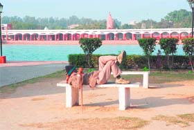 Basking in the sun on the lawns of Brahmsarovar in Kurukshetra