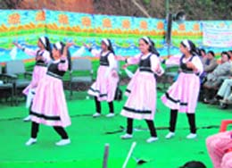 Deaf and dumb students performing a dance at the state-level function organised by the Ministry of Social Justice and Empowerment at Sundernagar