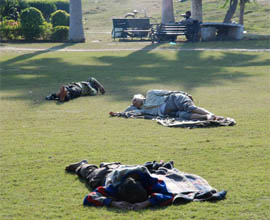 Three persons take a nap on a sunny day at Nehru Garden in Jalandhar on Monday.