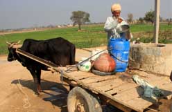 Though Gidderbaha, the home constituency of finance minister Manpreet Singh Badal, has been first to be provided with the RO system in the state, still people are ferrying canal water to meet their daily needs