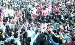 Muslims mourn on the 10th day of the holy month of Moharram in New Delhi 
