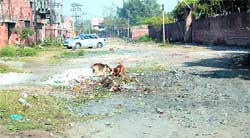 The pathetic condition of roads in the Chheharta industrial area in Amritsar.