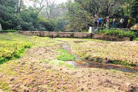 No water in water harvesting structure constructed by the Forest Department 