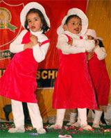 Tiny tots of Lord Rama Public School, Bathinda, performing during the annual function of the school