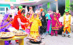 Tiny tots of Kiddies Paradise school celebrate Lohri