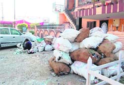 Sacks of liquor bottles in Dehraduns residential area.