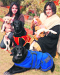Pet Pal: Aarti Verma(R) with famous four