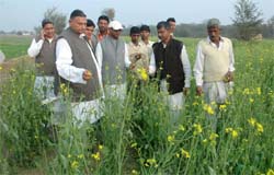 Legislator Vinod Kumar visits some fields which were affected by hailstorm in Hanumangarh district.