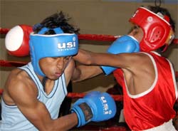 A match in progress at the District Boxing Championship being held in Bathinda on Sunday. 