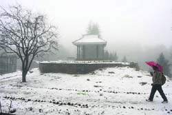 A man holding an umbrella walking after snowfall at Kufri on Monday.