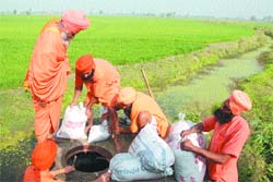 Baba Seechewal and his followers stop the flow of sewage of Lodhi Bhulana village and several colonies into the Kali Bein on Monday. 