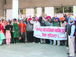 Members of the Punjab State Ministerial Service Union hold a rally in Ludhiana on Wednesday.