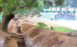 Digging in progress inside St Josephs Academy premises in Dehradun. 