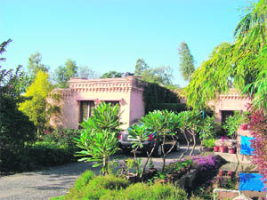 Ajai Johl's farmhouse blends well with the nature