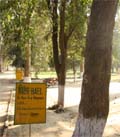 To save chandan trees from theft, authorities at Bir Talab Deer Park have removed the boards carrying information about these trees. 