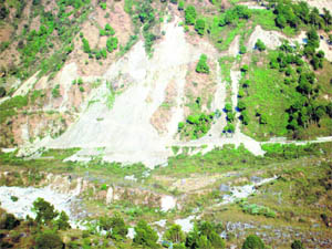 Reckless cutting of green hills by a private company goes unchecked in the Bundla area of Palampur. 