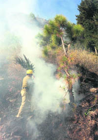 A firefighter tries to put out a fire that broke out in the Navbahar forest area in Shimla on Wednesday.