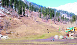 Snow-less Solang ski slopes wear a deserted look.