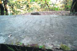 A view of the grave of Caroline in the forest outside Landour catonement. 