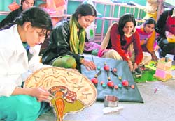 Girls take part in the teaching aid contest at GMT College of Education.