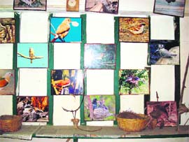 An exhibition at the Magpie Camp. Tribune photos