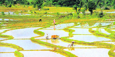 The kuhls bring water to the fields and hamlets in the alluvial plains that slope down from the snow-capped Dhauladhar ranges   Courtesy: J. Mark Baker