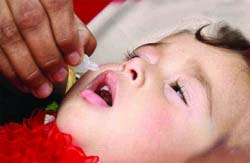 Polio drops being administered to a child in Bathinda on Sunday.
