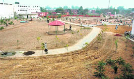 The newly developed herbal park in the civil hospital in Ambala city.