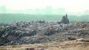 A garbage dump near Chakarpur village on the Gurgaon-Faridabad road in Gurgaon.