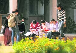 Girls studyingdiligently in the spring sun amidstthe blooms atPanjab University Chandigarh,on Tuesday.