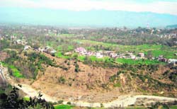 A view of the Chambi-Kharwari area which would be acquired for setting up a cement plant near Sundernagar. 