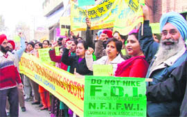LIC employees form a human chain in Ludhiana on Wednesday.