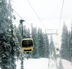 Cable cars in operation at snow-clad Gulmarg on Thursday.