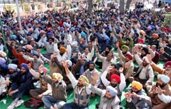 Veterinary pharmacists staging protest at the mini-secretariat in Bathinda on Sunday.