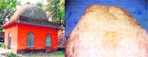 Ashokan rock edict at Kalsi.