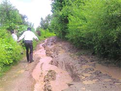 A road or a drain! 