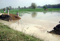 Breaches in canals in Abohar sub-division wreaked havoc