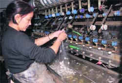 A woman at a silk reeling unit at Dehradun.