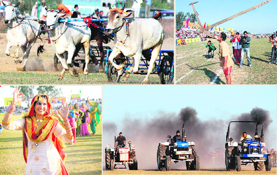 (Top) A bullock cart race and a villager balancing a plough with his teeth; (below) girls performing giddha and a tractor race in progress on the concluding day of the 74th sports festival