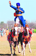 A young Nihang exhibits balancing act, riding two horses on the concluding day of the 74th Sports Festival at Kila Raipur