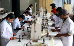Students of the Government Rajindra College doing practicals at the college laboratory in Bathinda on Monday.